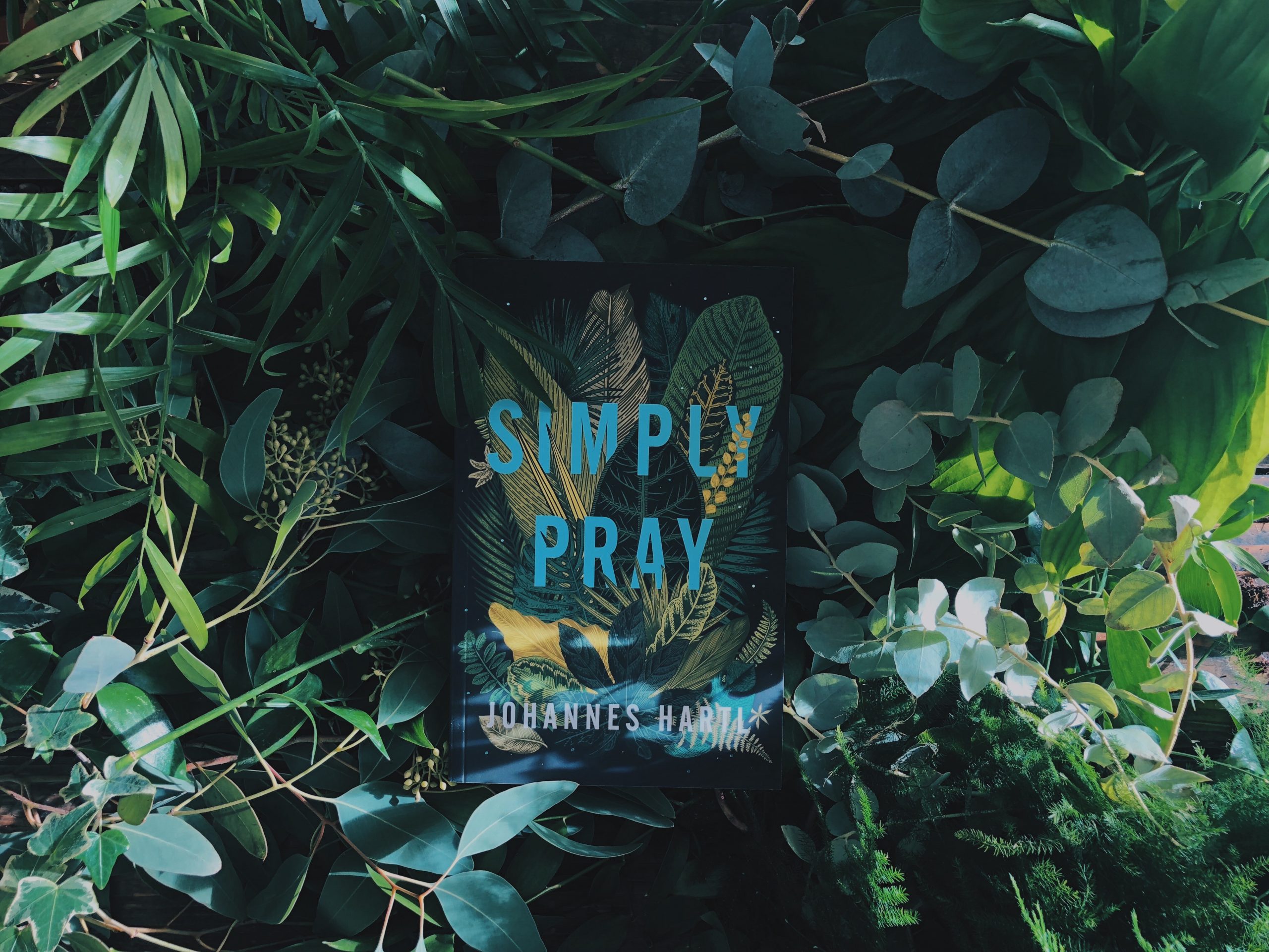 What I Like About ‘Simply Pray’