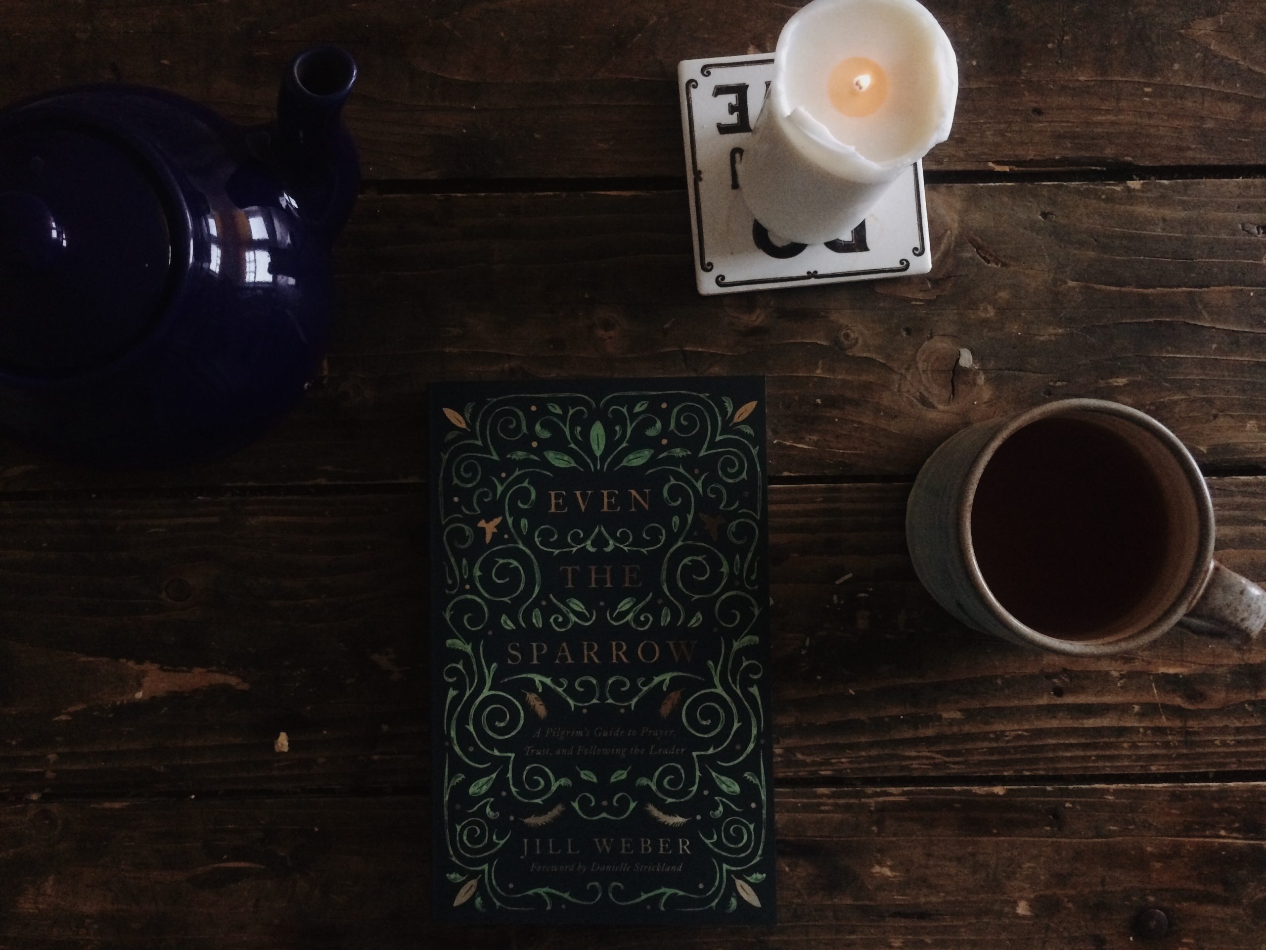 Lent Reflection: Even the Sparrow